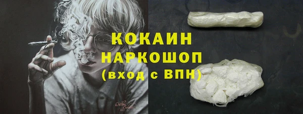 apvp Краснослободск