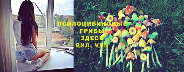 бошки Кулебаки
