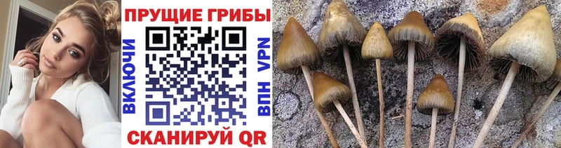 hydra ссылки  Кызыл  Галлюциногенные грибы ЛСД 