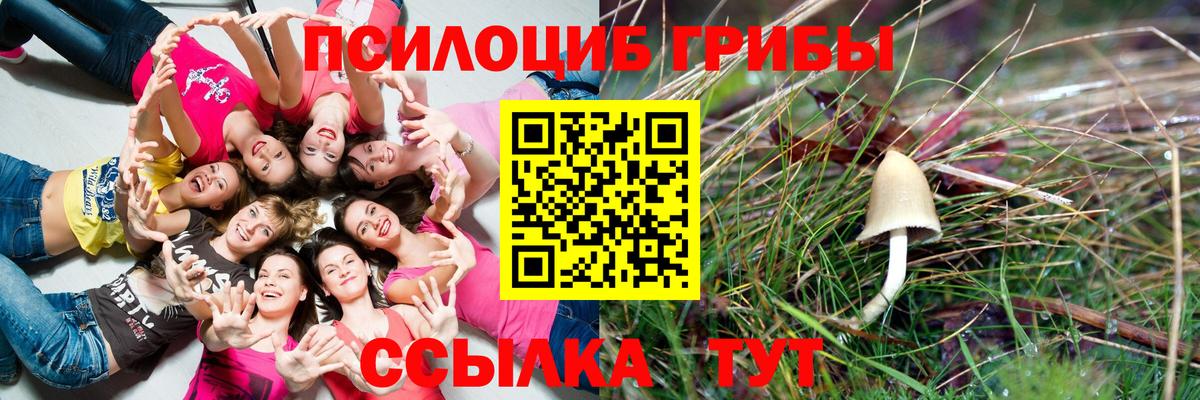 Псилоцибиновые грибы мухоморы  Вход с VPN  Кызыл 